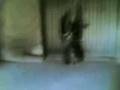 videos de Accura o garage(Calatabiano)