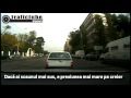 Duba, “pietonul” si galagiosul