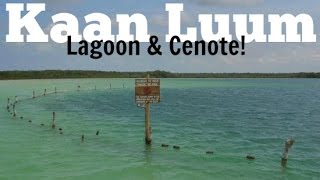 The Incredible Kaan Luum Lagoon near Tulum, Mexico!