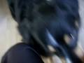 videos de Andy & Denver - Ferme la porte