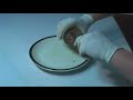 Dog Food Testing - Just How Good IS Commercial Dog Food?