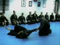 videos de HAPKIDO