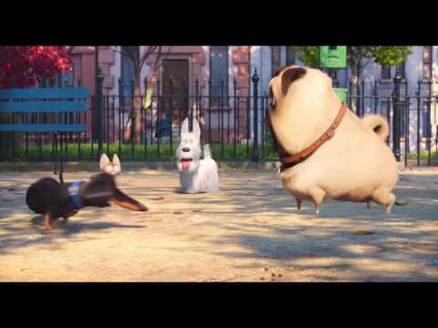 Preview Trailer Pets – Vita da animali, nuovo trailer