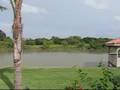 173 FM 802 - Brownsville, Texas