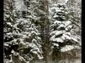 Snow Snow