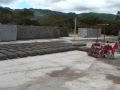 5s de la calidad, seccion 1301, Dr Tábora...