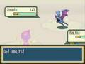 Shiny Gold: Union Cave