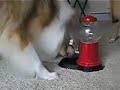 The Yuppy Puppy Gumball Machine The Yuppy Puppy Gumball Machine