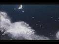Stranger- Okita Souji