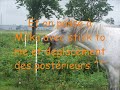 Ethologie