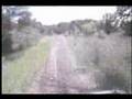 DR650 chasing 2-strokes in the woods