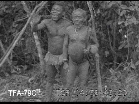 pygmy - A film about pygmies from the 1930s.To purchase a clean DVD or digital download of this film for personal home use or educational use contact us at questions...