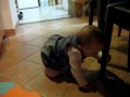 Loona sur le ventre/assise et papapapapa