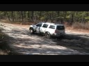 Wharton State Forest 11/9/08 Wharton State Forest 11/9/08