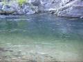 Montana Fishing Aaron Bonsall