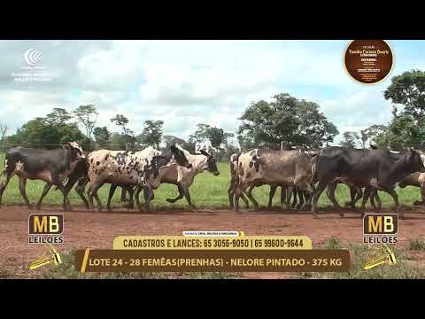11� LEIL�O FAM�LIA LUCIANO DUARTE E CONVIDADOS