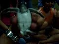 Turtle Sanctuary Chendor Cherating