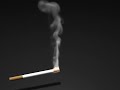 cigarette test