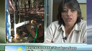 Konyada Kuyu Ruhsatları Kapandı