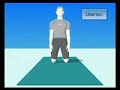 WiiFit Yoga