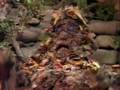 Fraggle Rock - I've Seen Troubles