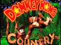 Donkey Kong Theme song