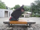 肩こり