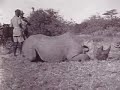 George Eastman - Rhino Charge