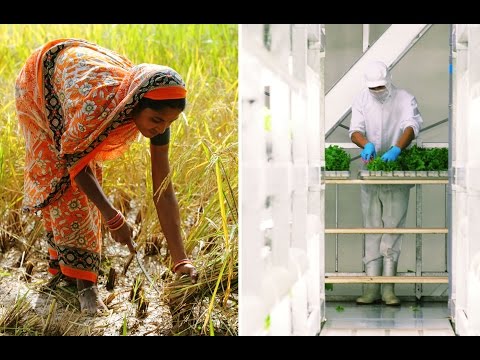 Video IDFA 2015 | Trailer | 10 Billion - What's on Your Plate? Video IDFA 2015 | Trailer | 10 Billion - What's on Your Plate?