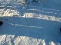 Snow-Penis-2