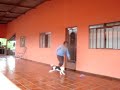 Meu primo Danilo, Eu e Minha cachorrinha Mila