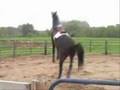 Double barrel horse kick