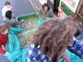 videos de andre amaro & crew nieuwe oogst