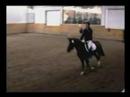 Worthy Oppoenet Jumping Undersaddle at the 100-Day Test