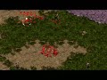 marine micro