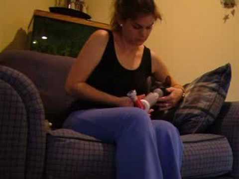 how to treat feline asthma