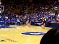 Bouncing BullDogs