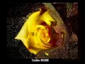 Gallery of Art and Photographic Giclee Printsby Gil Brenner Gallery of Art and Photographic Giclee Printsby Gil Brenner