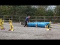 GT 011108 Steeplechase