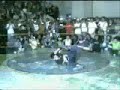 Cirujano VS Freski Cirujano VS Freski