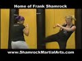 Shamrock Martial Arts Academy
