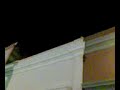 Chota Reclamando en la machado