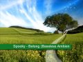Spooky - Belong (Bassless Ambient Mix) (chill out)