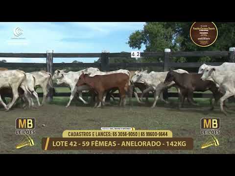 11� LEIL�O FAM�LIA LUCIANO DUARTE E CONVIDADOS