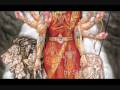 videos de Jai Mata Di - Ram Ji Se Pucha Hanuman Ji Se Pucha