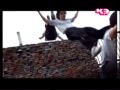 Parkour reportaje K3