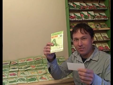 how to harvest artichoke seeds