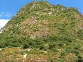 macchu picchu
