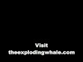 Exploding Whale in Oregon