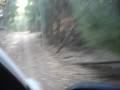 Spike - RAM 1500 - In the middle of the forest somewhere in cali